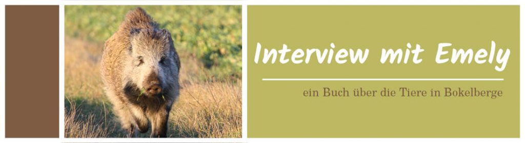 Interview mit Emely