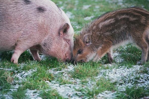 Emely und Anton beim Buddeln
