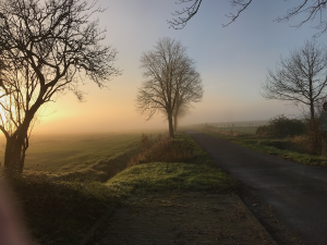 Isenbüttel im Nebel