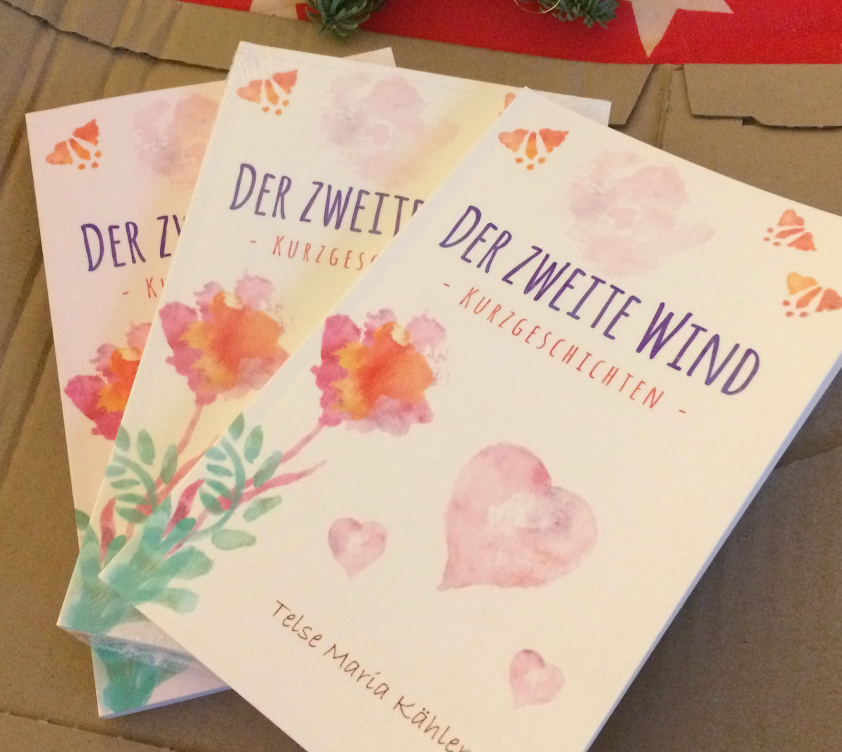 Paket mit Büchern "Der zweite Wind"